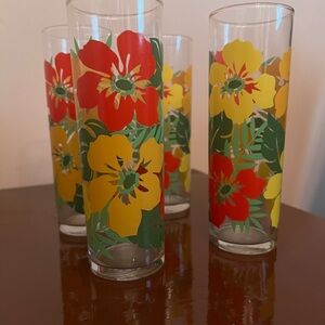Pier 1 Vibrant Floral Glass Tumblers